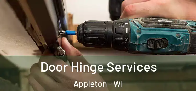 Door Hinge Services Appleton - WI