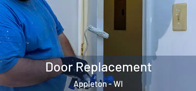 Door Replacement Appleton - WI