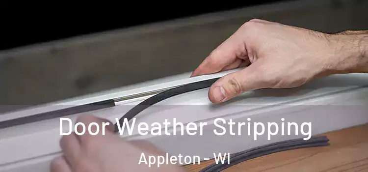 Door Weather Stripping Appleton - WI