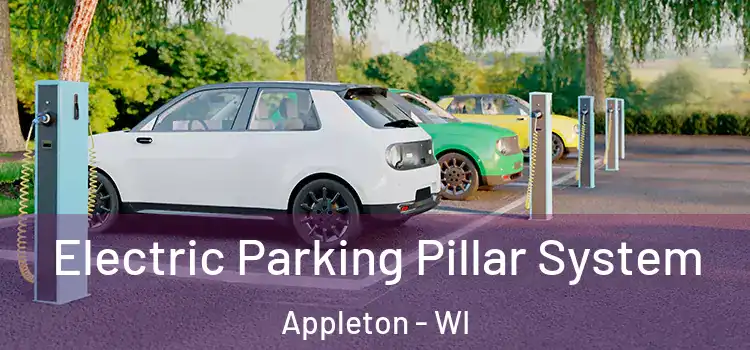 Electric Parking Pillar System Appleton - WI