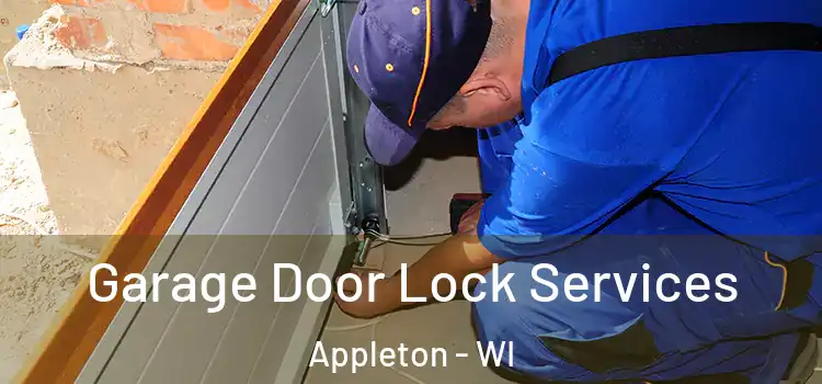 Garage Door Lock Services Appleton - WI