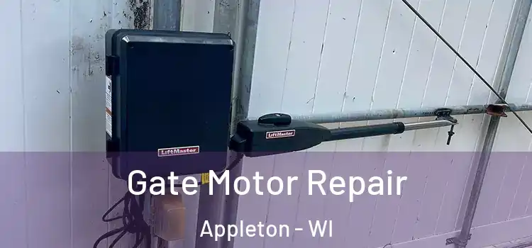 Gate Motor Repair Appleton - WI