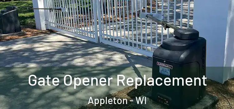Gate Opener Replacement Appleton - WI