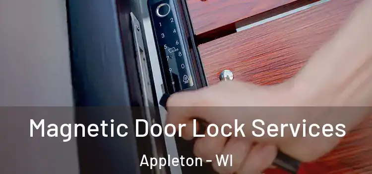 Magnetic Door Lock Services Appleton - WI