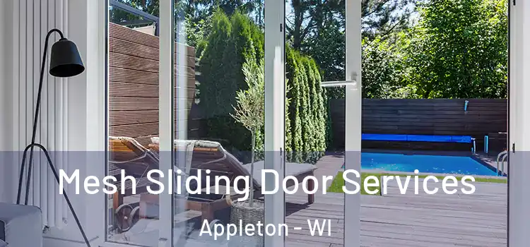 Mesh Sliding Door Services Appleton - WI