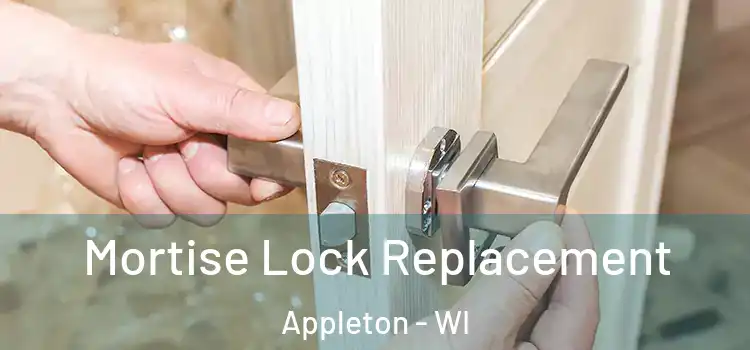 Mortise Lock Replacement Appleton - WI