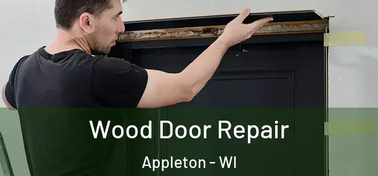 Wood Door Repair Appleton - WI